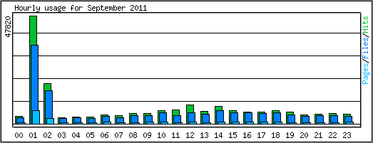 Hourly usage