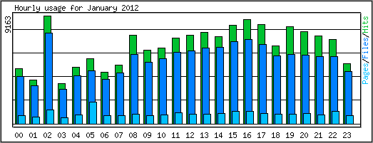 Hourly usage