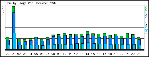 Hourly usage